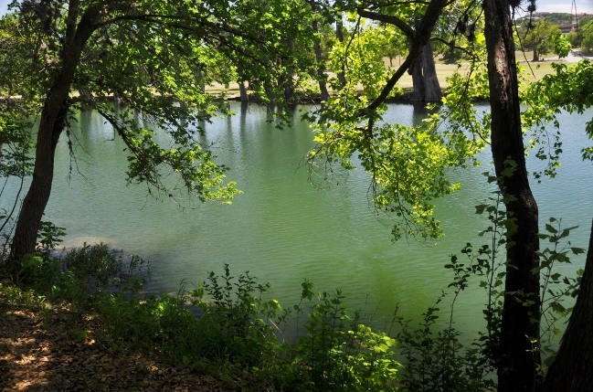 Guadalupe River